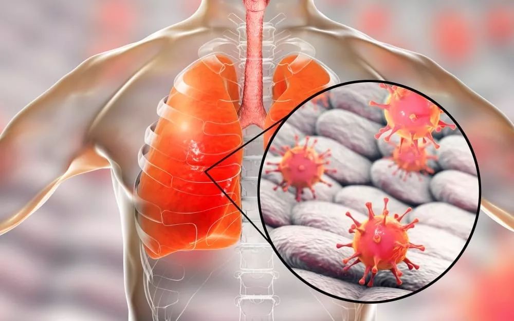 九游体育APP关于今晚罗马豪取连胜：英超节点到来；更衣室稳定；医务组通报恢复的信息